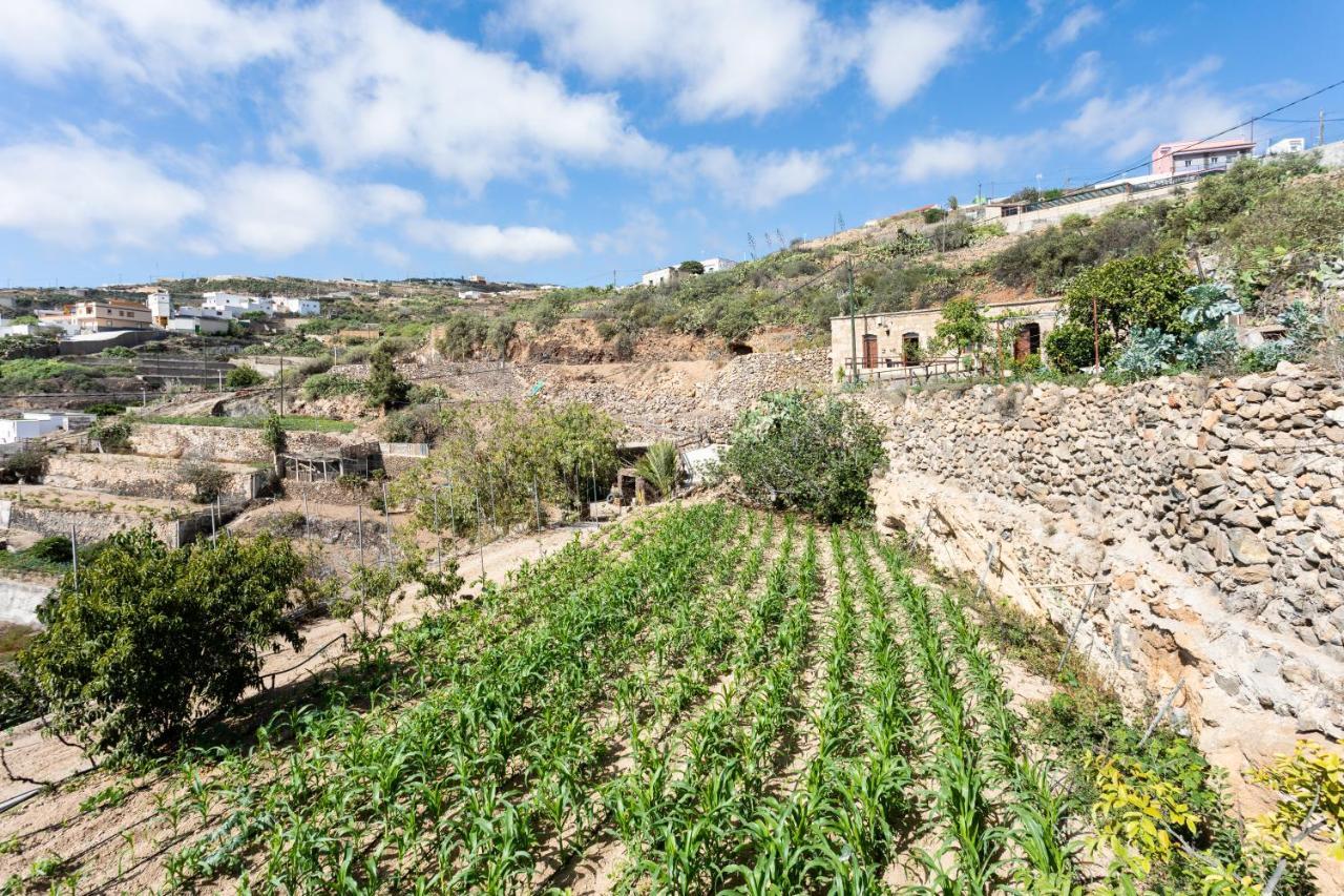 Eco Holidays House Raices Villa Fasnia Exterior foto