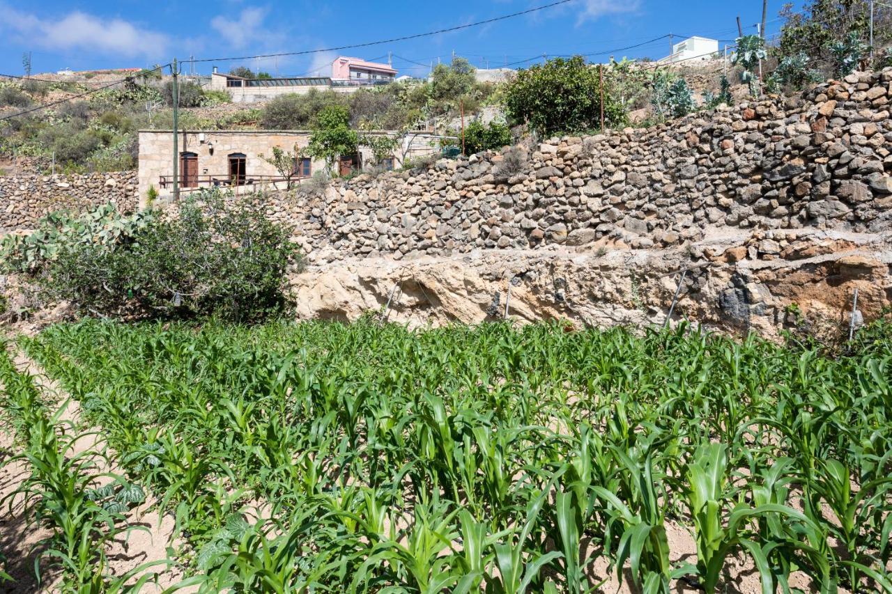 Eco Holidays House Raices Villa Fasnia Exterior foto